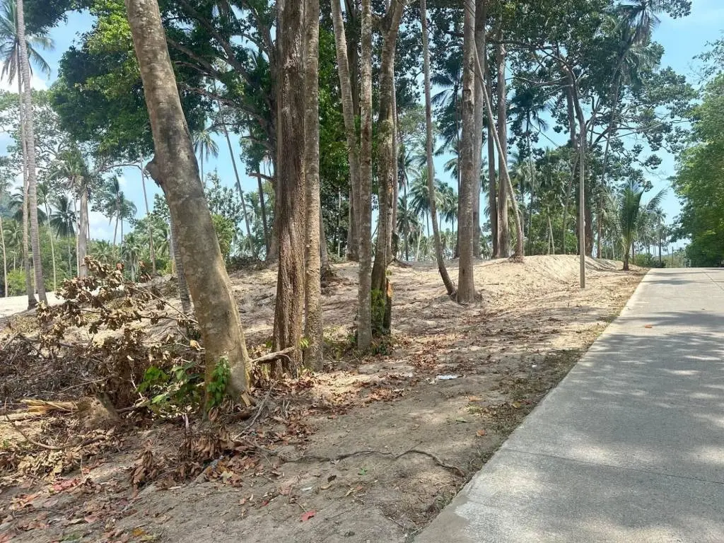 
    Maenam Soi 1 land for sale 800sqm-1200sqm
  