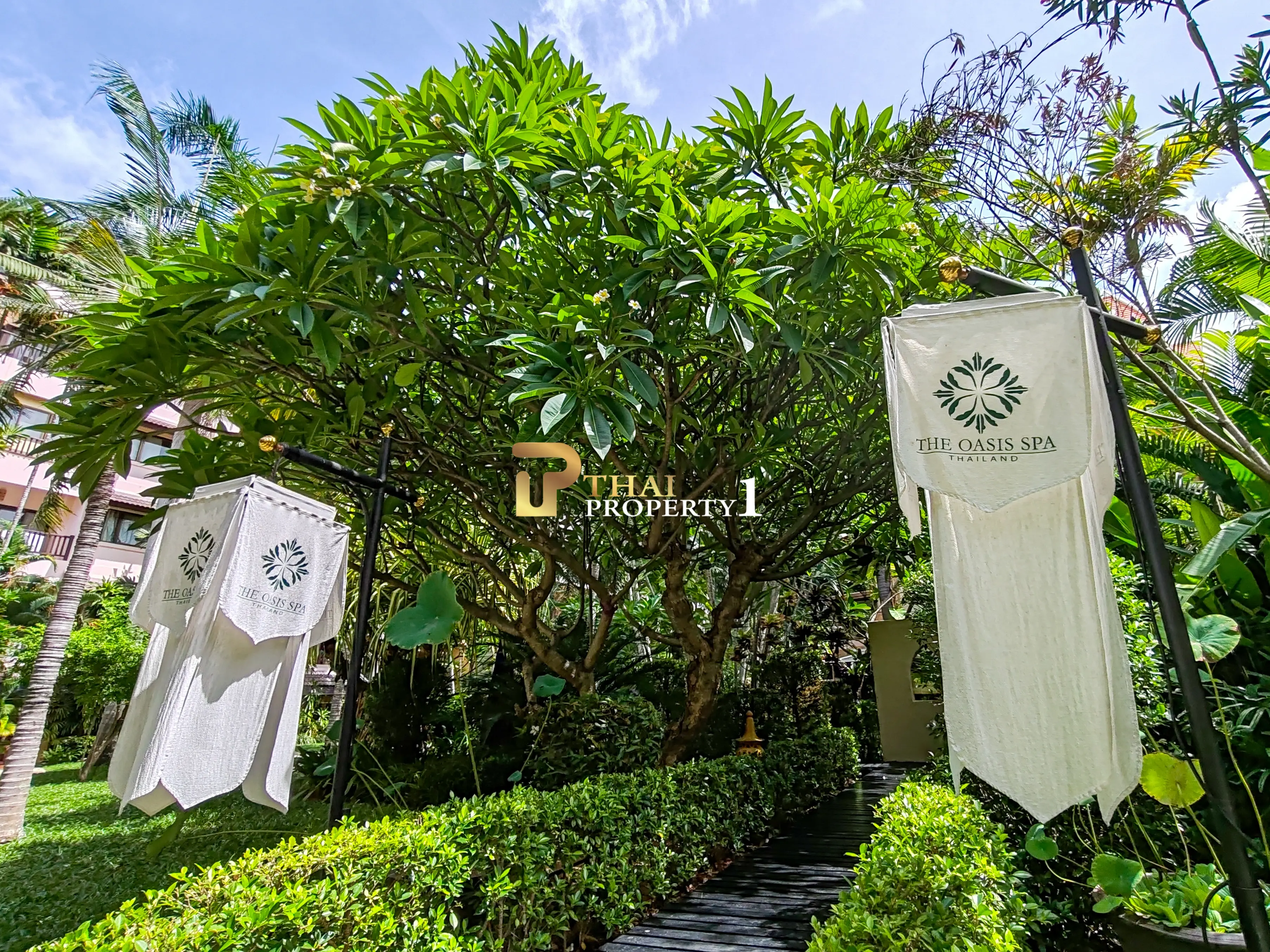  Investment Property 2 Bedroom Condo for Sale in Jomtien Good Location Chateau Dale Thabali