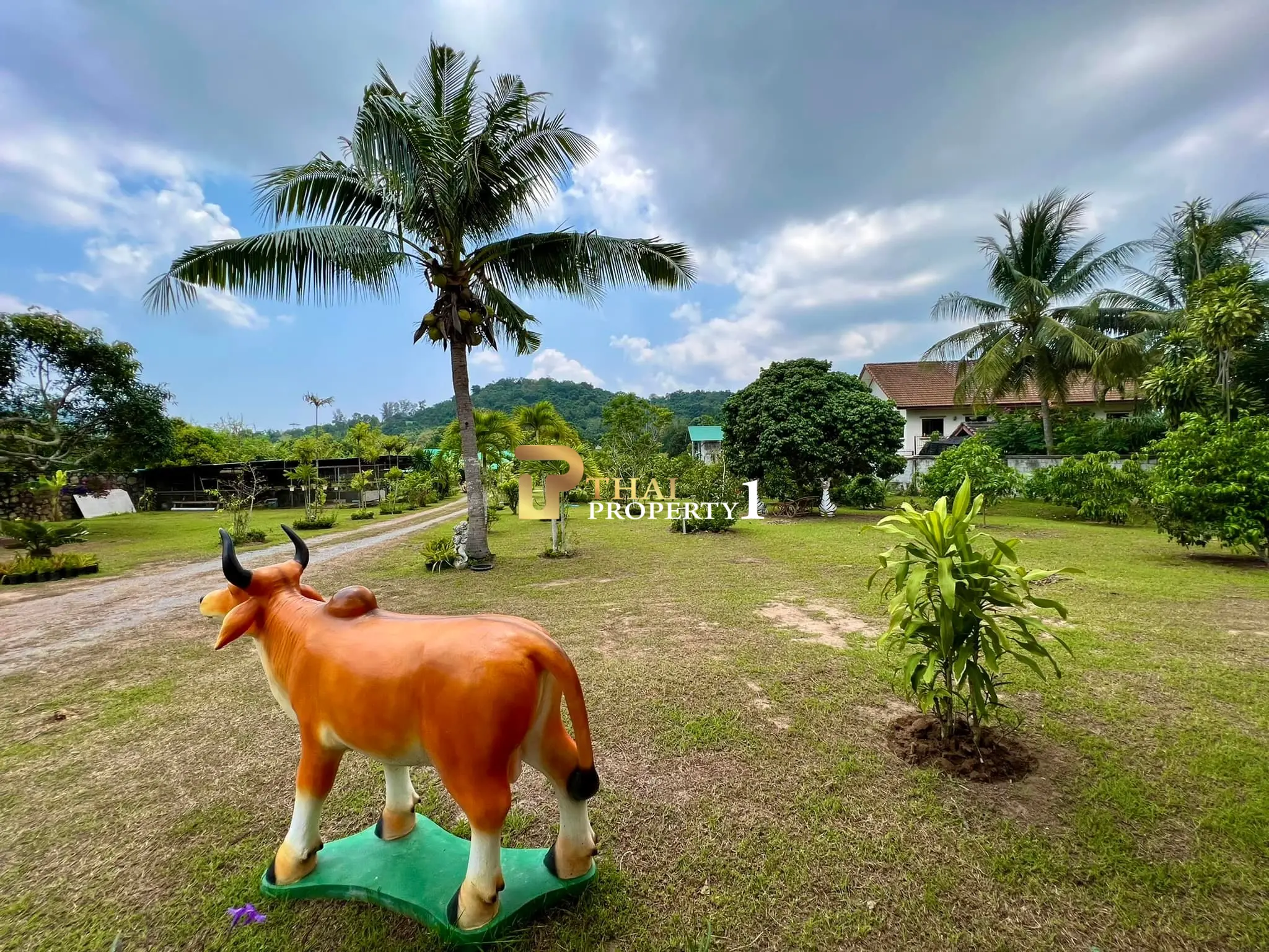 3 Rai Garden House for Sale in Bangsaray with Private Pool and Bungalow
