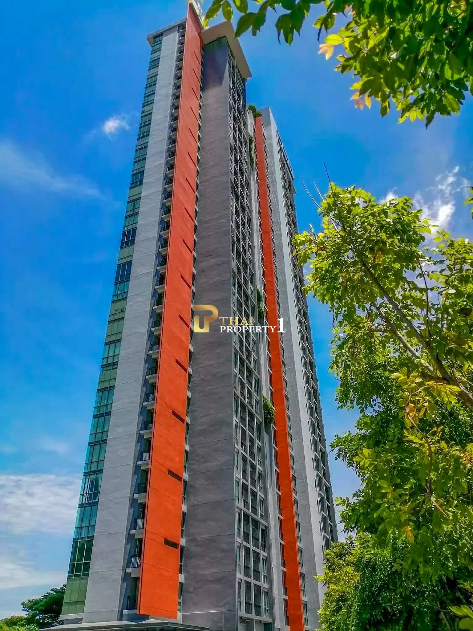 For Sale Pattaya Posh Condo – Studio Room with City View Near North Pattaya Bus Station – Only 1.39M THB