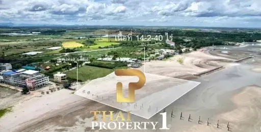 Beachfront 14 Rai Of Land For Sale (Only 5.5 M/Rai) - Phetchaburi