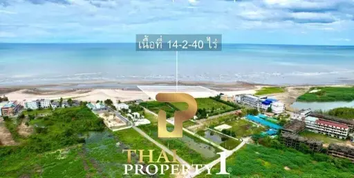 Beachfront 14 Rai Of Land For Sale (Only 5.5 M/Rai) - Phetchaburi