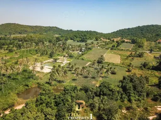 19-2-96 Land In Sam Roi Yod (2 M THB / Rai)